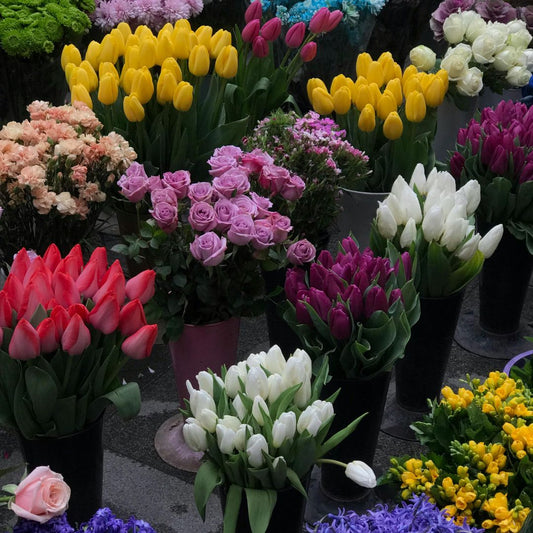 What Your Favourite Flower Says About You