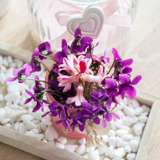 How To Incorporate Nature Into Your Daily Routine