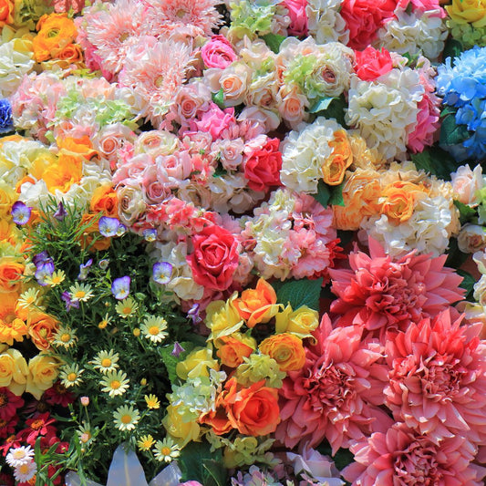 What The Colour Of A Flower Means