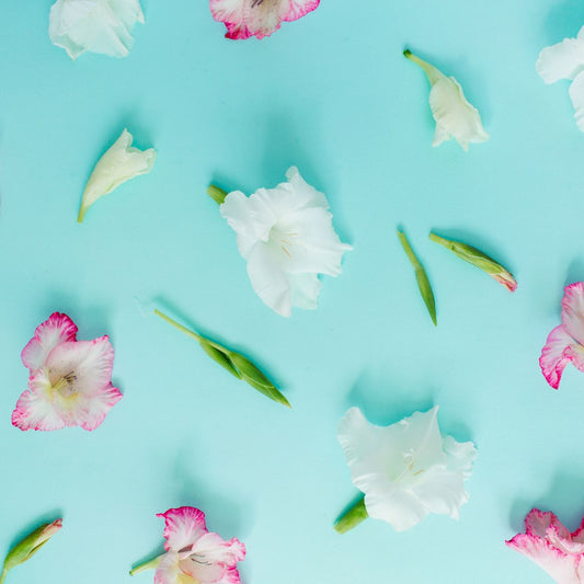Express Yourself: The Meaning Behind Popular Flowers and What They Say About You