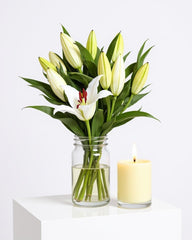 Lily Candle Glow + Vase 🤍🕯️