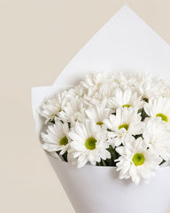 Pure Posy Delight 🤍🌼